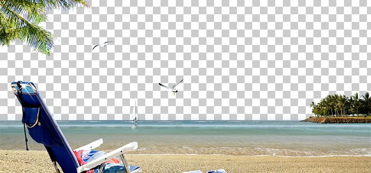 Sandy Beach Seaside Resort PNG, Clipart, Angle, Art, Background, Beach, Beaches Free PNG Download