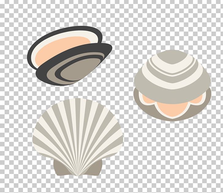 Seashell Euclidean PNG, Clipart, Animals, Cup, Download, Element, Encapsulated Postscript Free PNG Download