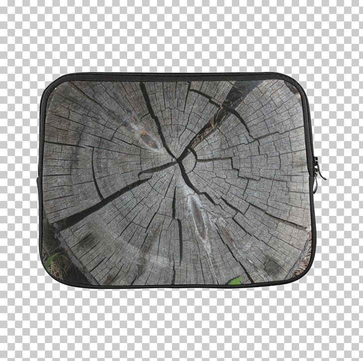 Wood Tree /m/083vt Rectangle PNG, Clipart, Dry Trees, M083vt, Rectangle, Tree, Wood Free PNG Download