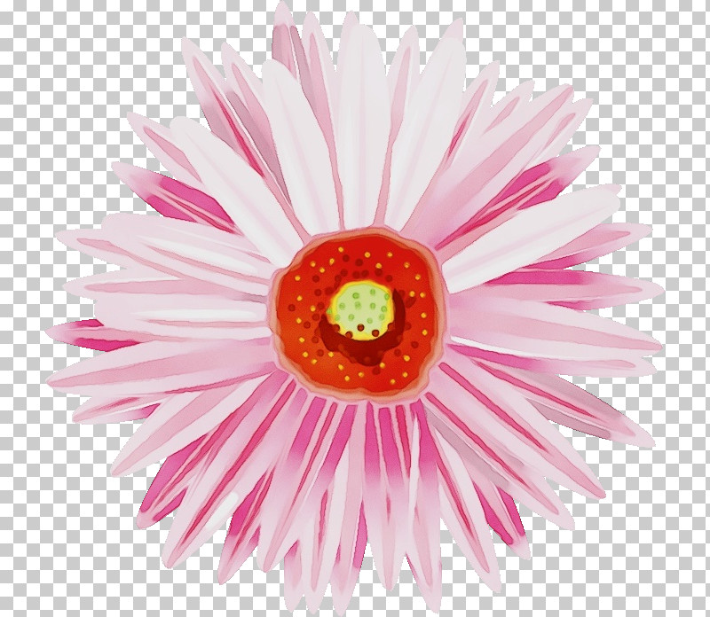 Artificial Flower PNG, Clipart, Artificial Flower, Aster, Barberton Daisy, Cut Flowers, Daisy Free PNG Download