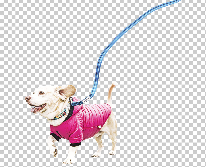 Dog Leash Pink Animal Figure Toy PNG, Clipart, Animal Figure, Companion Dog, Dog, Leash, Pink Free PNG Download