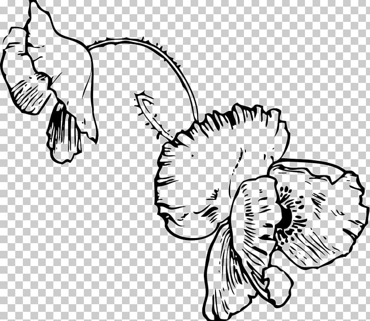 Coloring Book Poppy Drawing PNG, Clipart, Artwork, Black And White, Book, Carnivoran, Color Free PNG Download