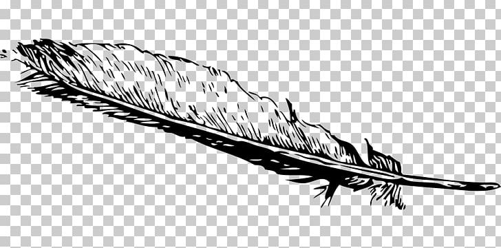 Feather PNG, Clipart, Animals, Beak, Bird, Black And White, Claw Free PNG Download