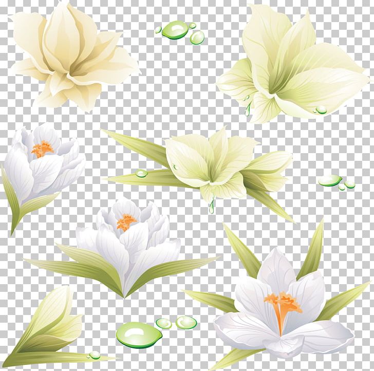 Flower Lilium PNG, Clipart, Cdr, Encapsulated Postscript, Flora, Floral Design, Floristry Free PNG Download