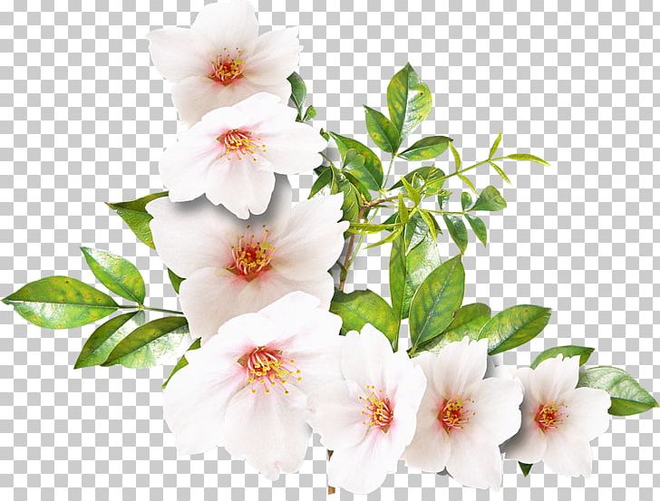 Flower White PNG, Clipart, Andrey Klyashtorny, Art White, Autumn, Blossom, Blue Free PNG Download