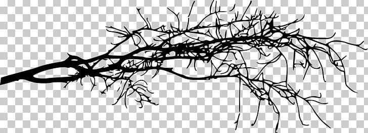 Twig Black And White PNG, Clipart, Animals, Art, Austral Pacific Energy Png Limited, Black And White, Branch Free PNG Download