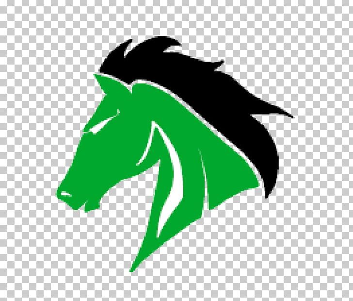 West Stanly High School Richmond County PNG, Clipart, American Football, Basketball, Education Science, Fictional Character, Grass Free PNG Download