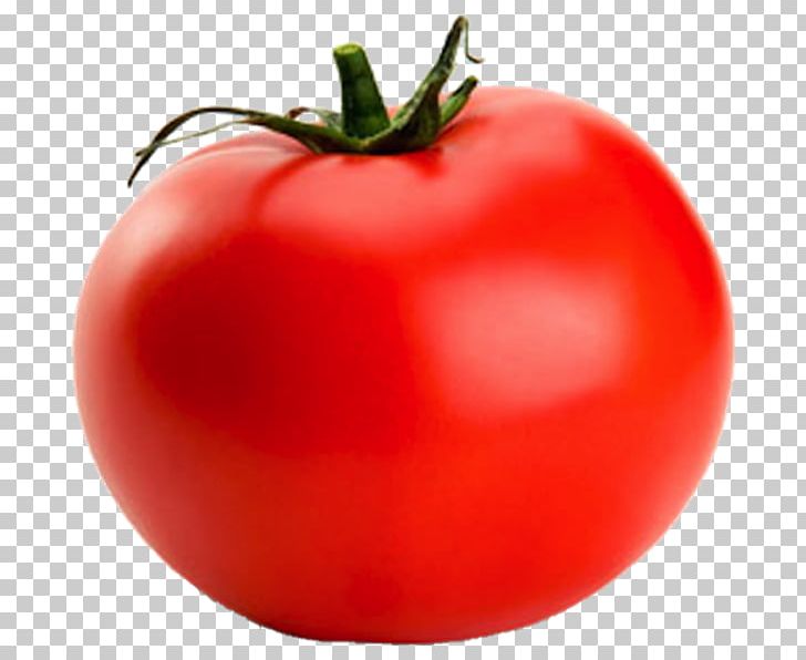 Cherry Tomato Vegetable PNG, Clipart, Bush Tomato, Cherry Tomato, Diet Food, Food, Fruit Free PNG Download