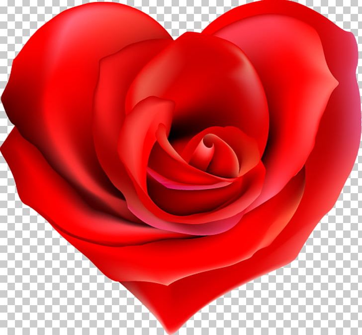 Garden Roses Heart Flower PNG, Clipart, Closeup, Computer Wallpaper, Cut Flowers, Floribunda, Flower Free PNG Download