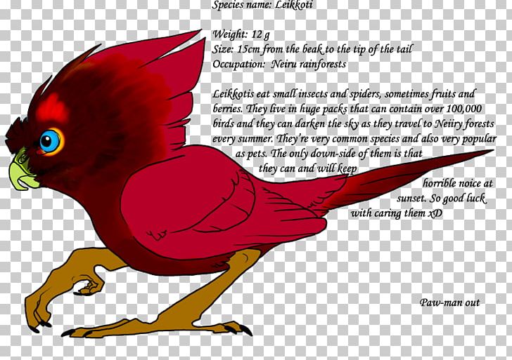 Macaw Parrot Beak Feather PNG, Clipart, Animals, Art, Beak, Bird, Cartoon Free PNG Download
