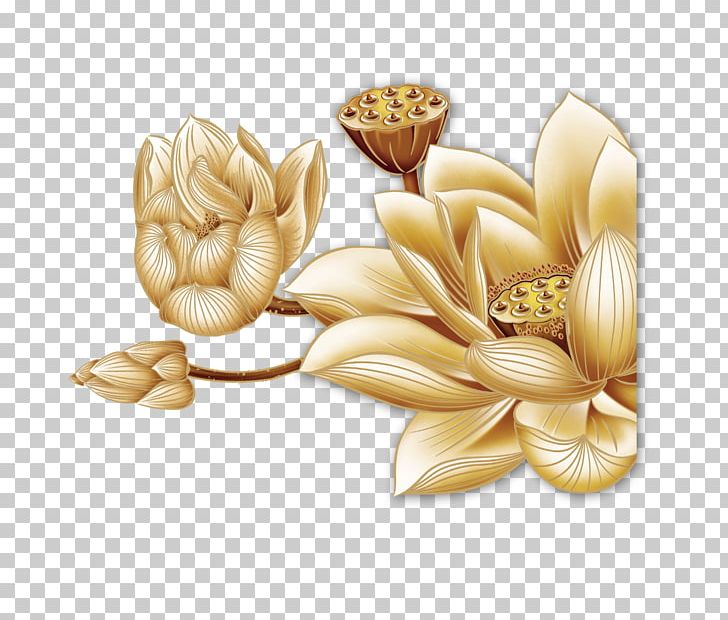 Mooncake Nelumbo Nucifera Cdr PNG, Clipart, Adobe Illustrator, Cdr, Commodity, Coreldraw, Download Free PNG Download