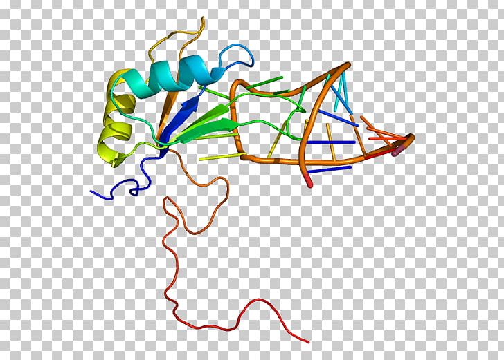 Structural Motif RNA-binding Protein Sequence Motif RNA Binding Motif Protein PNG, Clipart, Area, Artwork, Azoospermia Factor, Binding Protein, Cterminus Free PNG Download