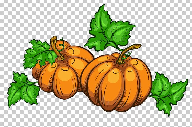Thanksgiving Day Animation Wish PNG, Clipart, Calabaza, Film, Flower, Food, Fruit Free PNG Download