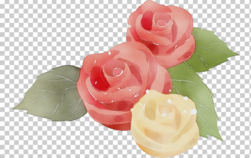 Garden Roses PNG, Clipart, Artificial Flower, Bouquet, Bud, Cut Flowers, Floribunda Free PNG Download