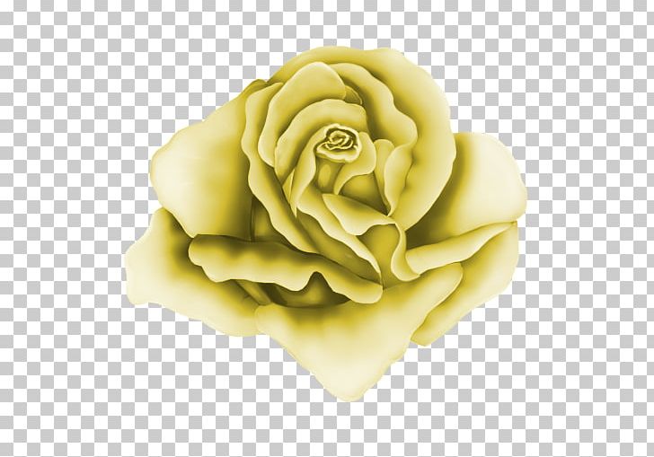 Garden Roses Drawing PNG, Clipart, Animation, Art, Drawing, Flower, Flowers Free PNG Download