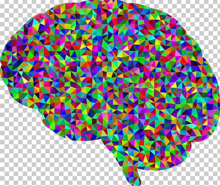 Human Brain PNG, Clipart, Brain, Cerebral Cortex, Circle, Color, Computer Icons Free PNG Download