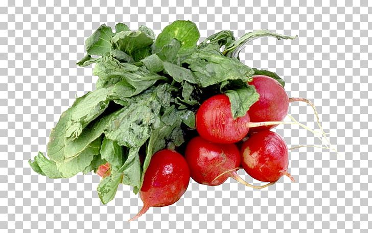 Garden Radish Black Spanish Radish Vegetable Fruit Salad PNG, Clipart, Auglis, Black Spanish Radish, Carrot Juice, Cartoon Carrot, Food Free PNG Download