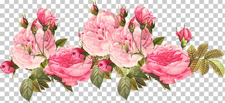 Portable Network Graphics Pink Flowers PNG, Clipart, Antique, Avatan, Avatan Plus, Blossom, Cut Flowers Free PNG Download