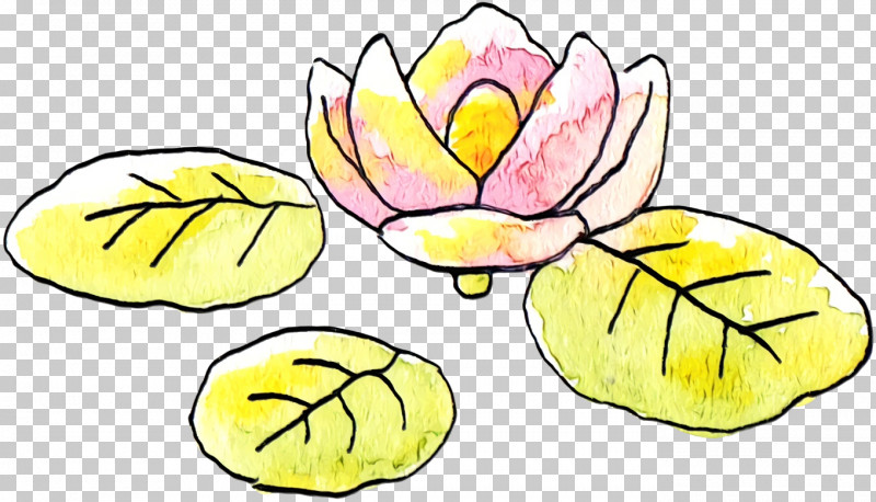 Cut Flowers Plant Stem Petal Leaf Yellow PNG, Clipart, Cut Flowers, Flower, Leaf, Line, Paint Free PNG Download