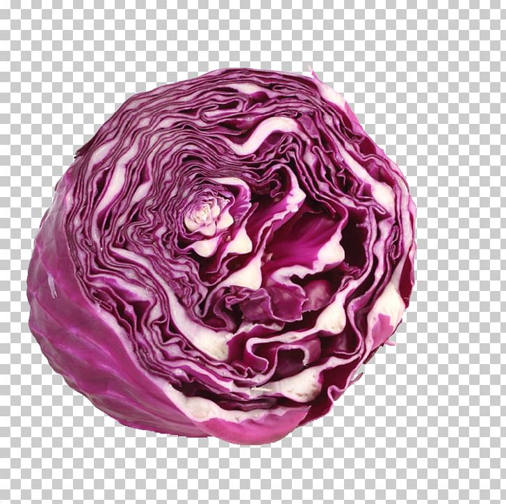 Red Cabbage Vegetable PNG, Clipart, Brassica Oleracea, Cabbage, Chinese Cabbage, Food, Gratis Free PNG Download