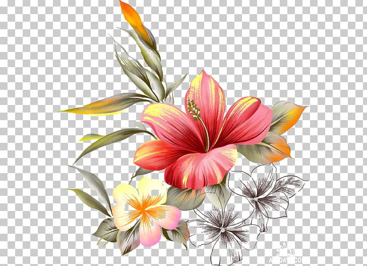 Sedbaru Vaiku Lopselis-darzelis Frames Animaatio PNG, Clipart, Animaatio, Art, Cicek Resimleri, Cut Flowers, Floral Design Free PNG Download