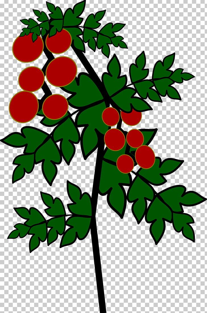 Tomato Plant Fruit Computer Icons PNG, Clipart, Artwork, Branch, Computer Icons, Flora, Flower Free PNG Download