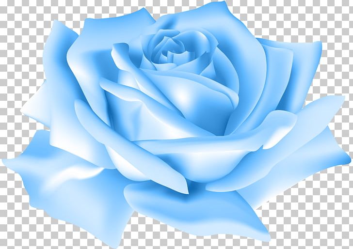 Blue Rose Flower Beach Rose PNG, Clipart, Azure, Beach Rose, Blue, Blue Rose, Centifolia Roses Free PNG Download