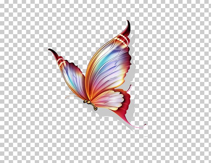 Butterfly Papillon Color PNG, Clipart, Abziehtattoo, Blue Butterfly, Butterflies, Butterflies And Moths, Butterfly Group Free PNG Download