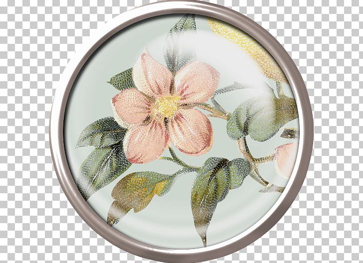Flower Mirror PNG, Clipart, Dishware, Download, Euclidean Vector, Flora, Flower Free PNG Download