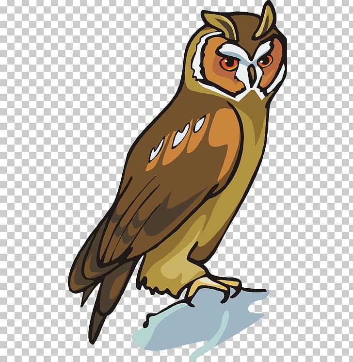 Owl School Reading Comprehension Understanding PNG, Clipart, Beak, Bird, Bird Of Prey, Classroom, Fauna Free PNG Download