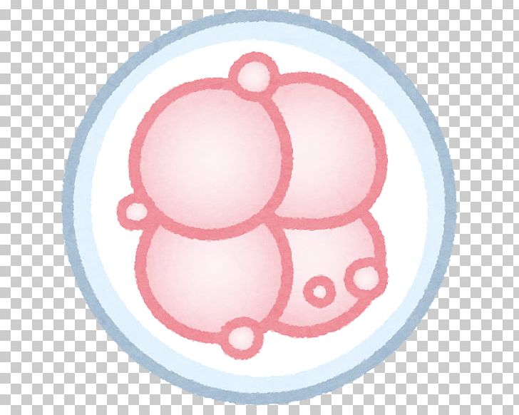 Polycystic Ovary Syndrome Embryo Infertility Transvaginal Oocyte Retrieval Fertilisation PNG, Clipart, Blastocyst, Cell, Circle, Egg, Embryo Free PNG Download