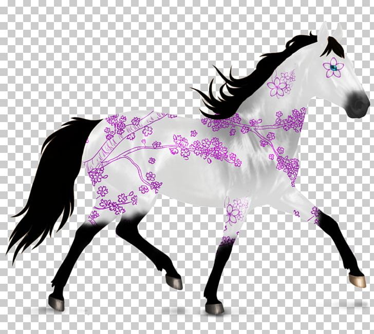 Kiger Mustang Pony Stallion Grullo PNG, Clipart,  Free PNG Download