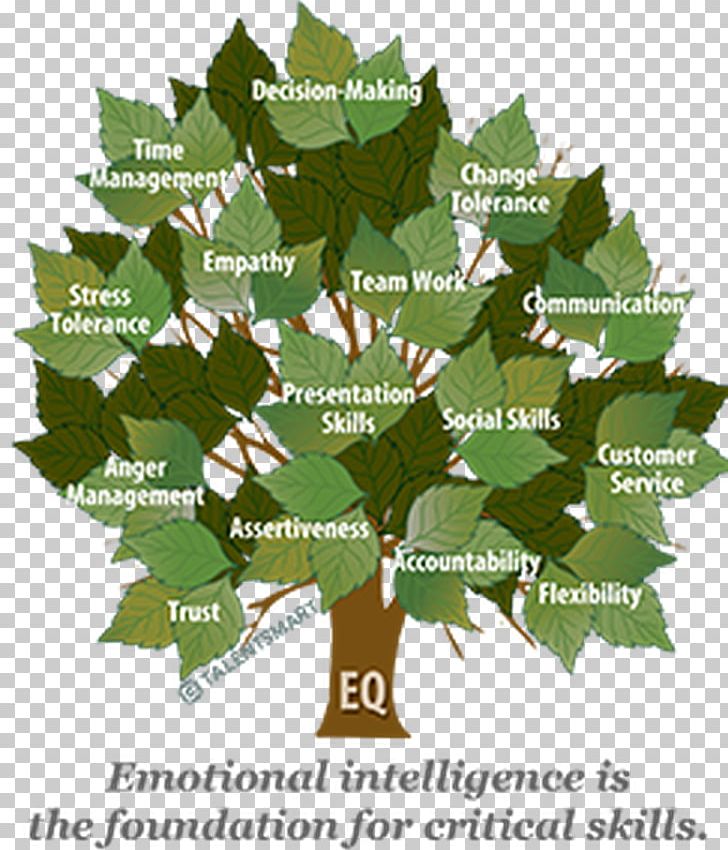 The Emotional Intelligence Appraisal Understanding Emotional Intelligence PNG, Clipart, Behavior, Branch, Emotion, Emotional Intelligence, Empathy Free PNG Download