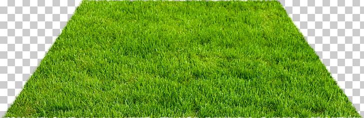 Artificial Turf Lawn Fodder Yard PNG, Clipart, Artificial Turf, Field, Fineart Photography, Flooring, Fodder Free PNG Download