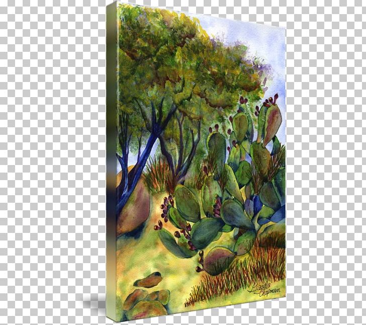 Biome Flora Landscape Fauna Painting PNG, Clipart, Arizona, Arizona Desert, Art, Biome, Cactus Free PNG Download