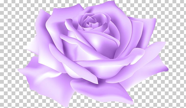 Blue Rose Flower PNG, Clipart, Blue, Blue Flower, Blue Rose, Cut Flowers, Desktop Wallpaper Free PNG Download