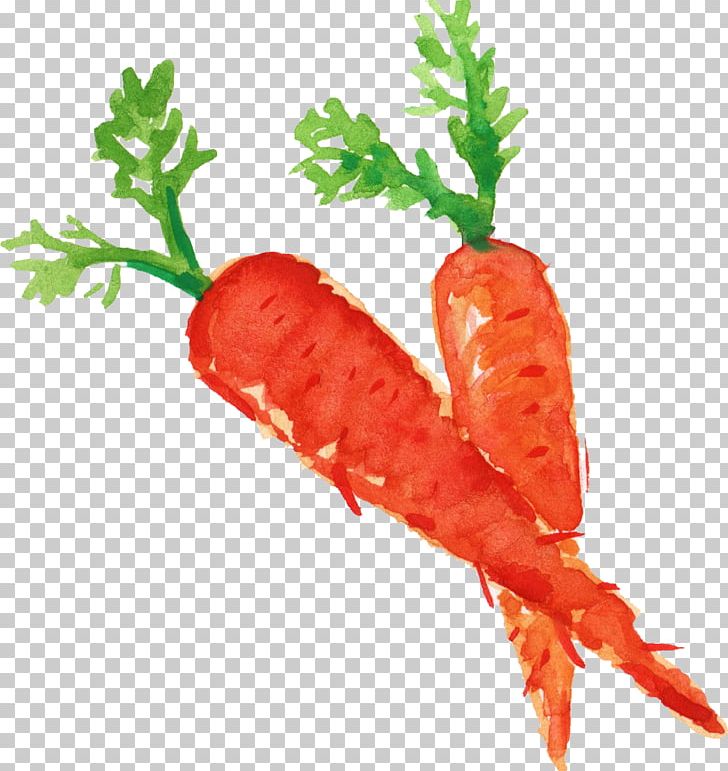 Carrot Vegetable Food PNG, Clipart, Broccoli, Carrot, Carrots, Desktop Wallpaper, Drink Free PNG Download