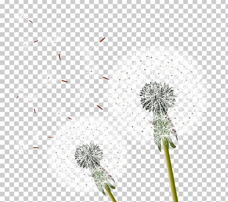 Dandelion PNG, Clipart, Dandelion Flower, Dandelions, Dandelion Seeds, Dandelion Vector, Encapsulated Postscript Free PNG Download