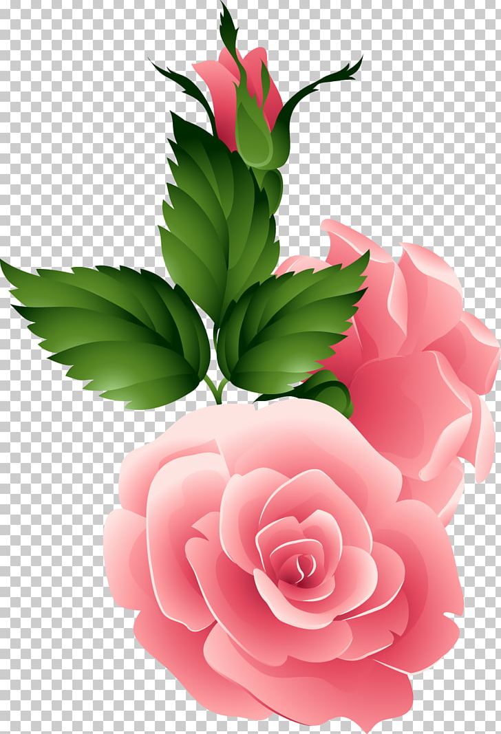 Flower Garden Roses Night Morning PNG, Clipart, Afternoon, Cut Flowers, Floral Design, Floristry, Flower Free PNG Download