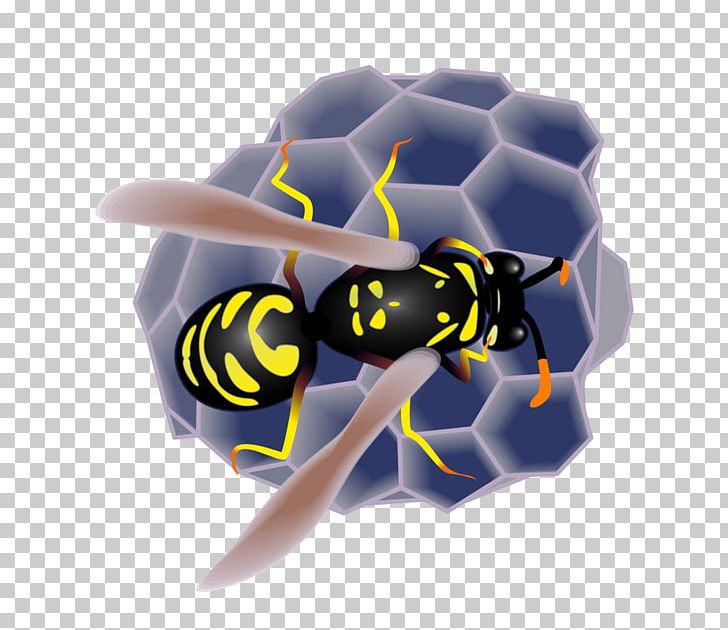 Honey Bee Insect Honeycomb PNG, Clipart, Animals, Arthropod, Bee, Bee Hive, Bees Free PNG Download