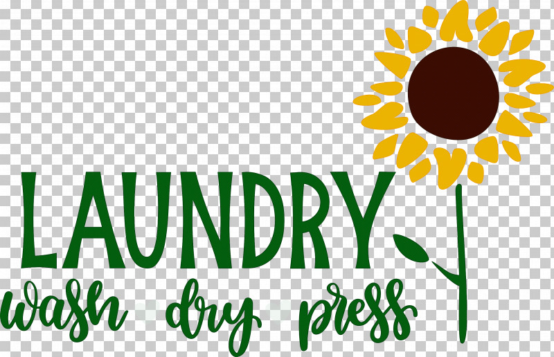 Laundry Wash Dry PNG, Clipart, Cut Flowers, Daisy Family, Dry, Floral Design, Flower Free PNG Download