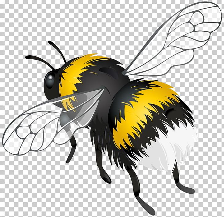 Bee Insect Flight PNG, Clipart, Arthropod, Bee, Clip Art, Dots Per Inch, Flight Free PNG Download
