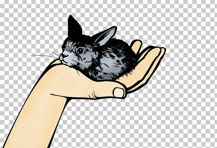 Whiskers Chinchilla Rabbit PNG, Clipart, Animal, Bat, Bunnies, Carnivoran, Cartoon Free PNG Download