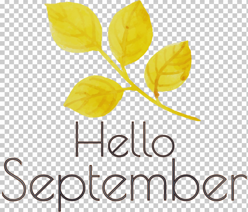 Plant Stem Cut Flowers Petal Flower Yellow PNG, Clipart, Architecture, Biology, Cut Flowers, Flower, Hello September Free PNG Download