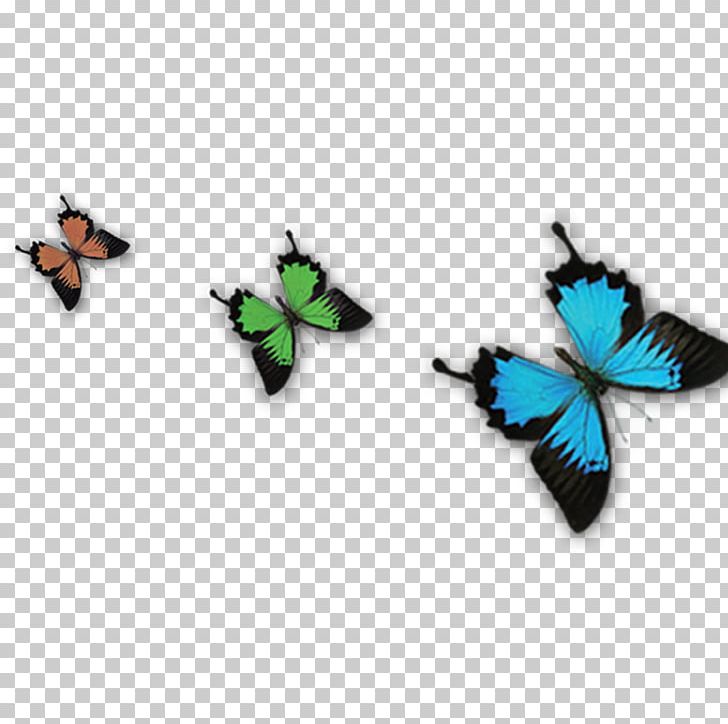 Butterfly Transparency And Translucency Blue Png Clipart 3d Computer Graphics Arthropod Blue Blue Butterfly Butterflies Free