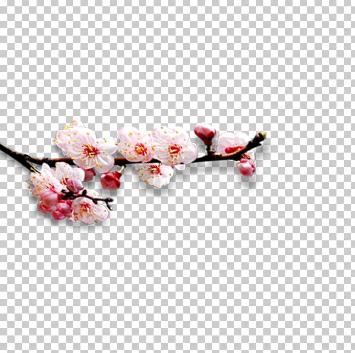 Designer PNG, Clipart, Bloom, Blooming, Blooming Peach Blossom, Blossom, Branch Free PNG Download