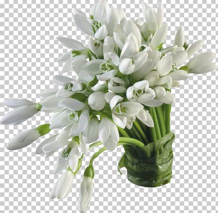 Snowdrop Flower PNG, Clipart, Amaryllidaceae, Crocus, Cut Flowers, Digital Image, Flower Free PNG Download