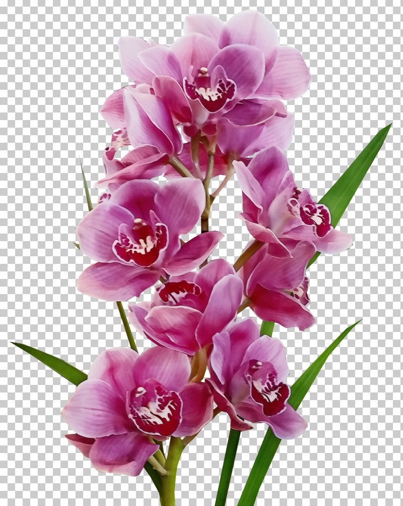 Floral Design PNG, Clipart, Cut Flowers, Dendrobium, Diwali, Floral Design, Flower Free PNG Download