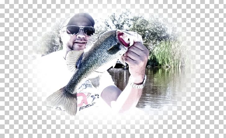 Pond Sunglasses Fishing YouTube PNG, Clipart, Acre, Andy, Eyewear, Fish, Fishing Free PNG Download