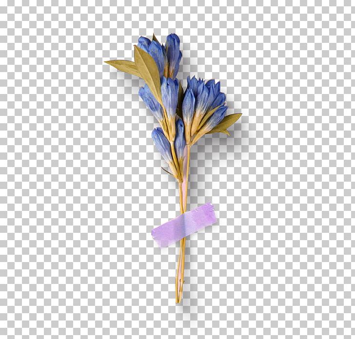 Flower Blue PNG, Clipart, Blue, Blue Background, Blue Flower, Bouquet, Christmas Decoration Free PNG Download